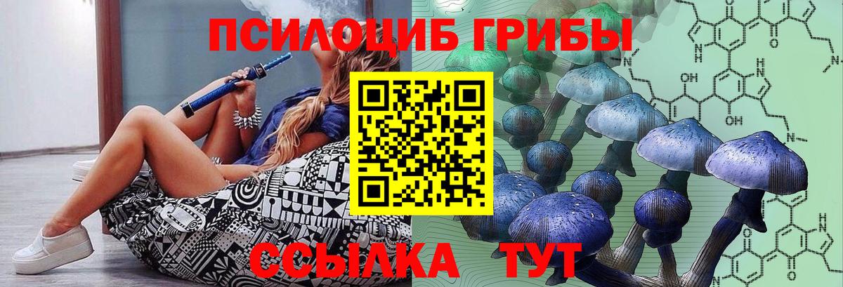 Галлюциногенные грибы Psilocybine cubensis Тверь