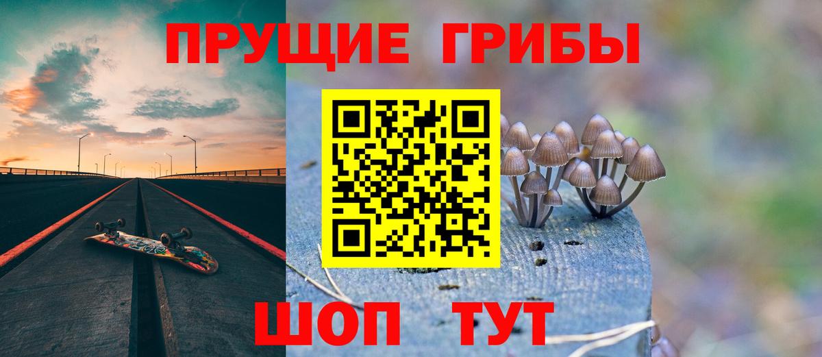 дарнет шоп  Псилоцибиновые грибы ЛСД  Вход с VPN  Галлюциногенные грибы Psilocybe  Тверь 
